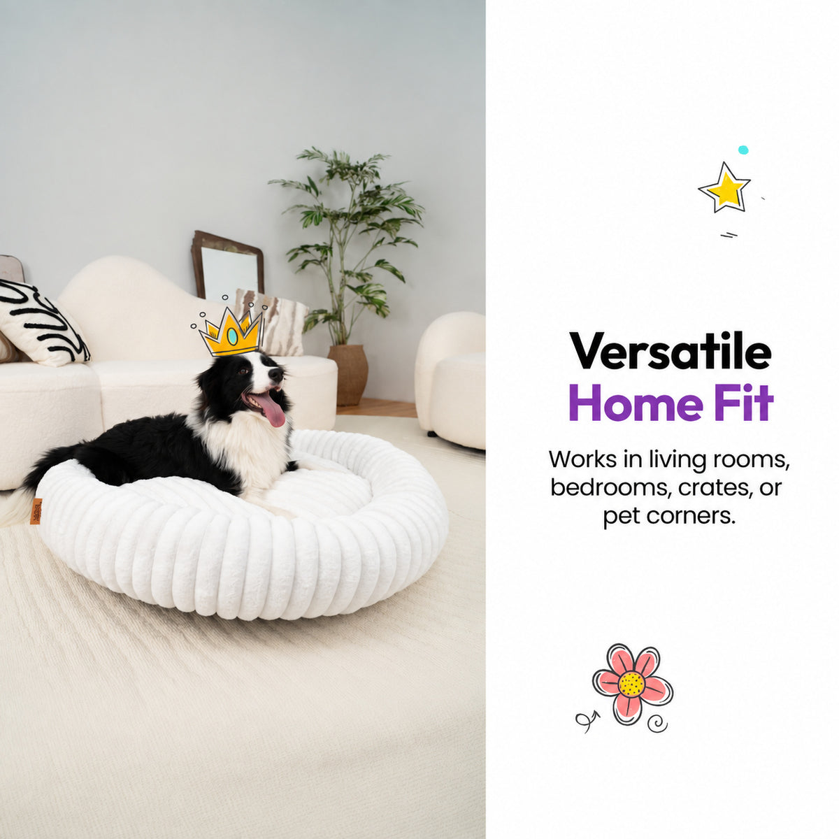 White | Furry Corduroy Round Bed: Border collie in a paper crown lying in the White bed, captioned Versatile Home Fit