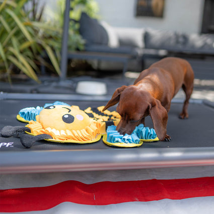 Snuffle Mat