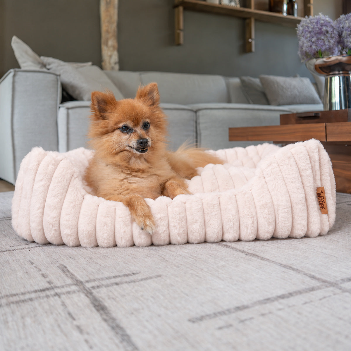 Pale pink | Furry Corduroy Open Front Rectangle Bed: Pomeranian lying in the Pale pink bed in a living room