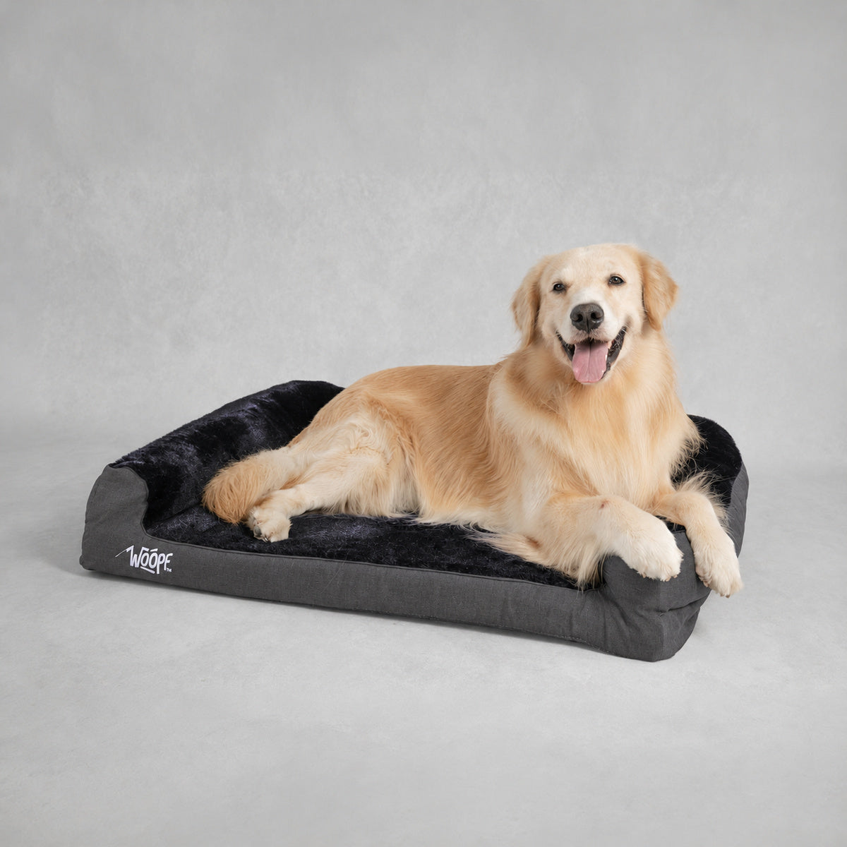 Black | SNÖR Orthopedic Bed: Golden retriever lying on the Black bed in a grey studio