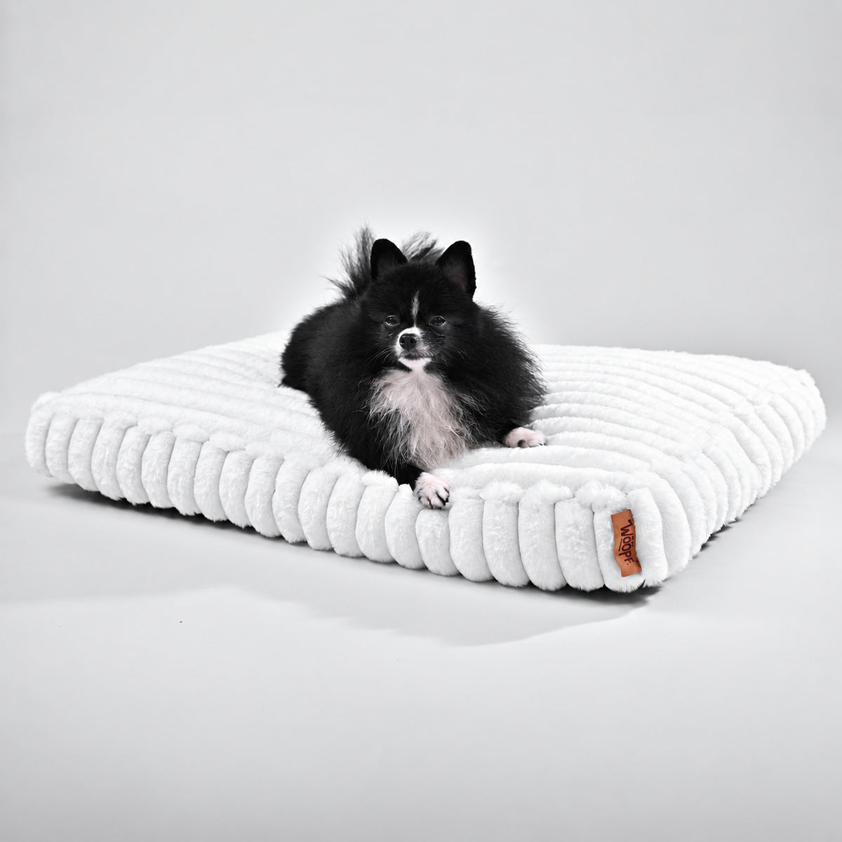 White | Furry Corduroy Sleeping Mat: Black and white Pomeranian lying on the White mat in a grey studio