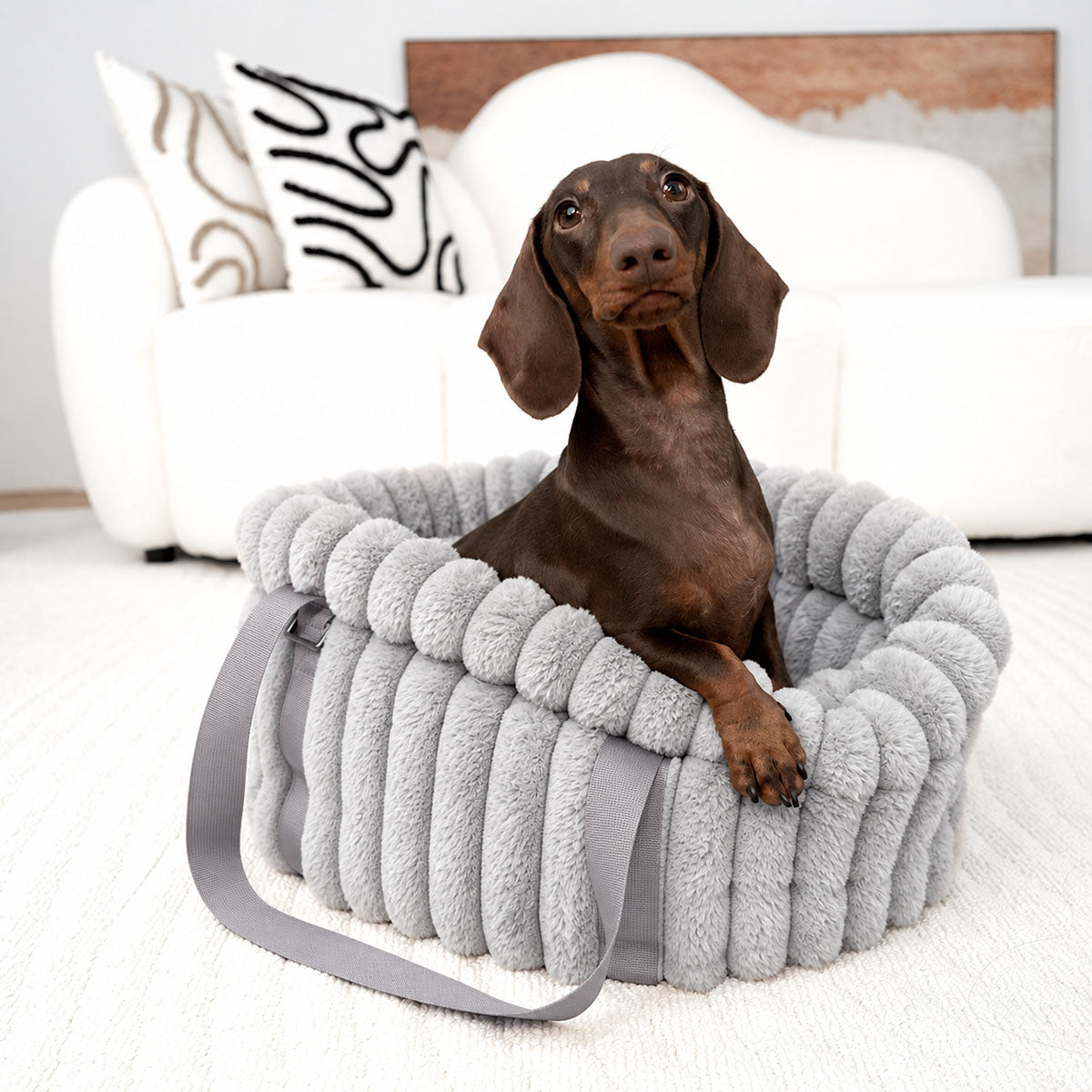 Grey | Corduroy Calming Dog Carrier: Dachshund sitting in the Grey carrier in a living room