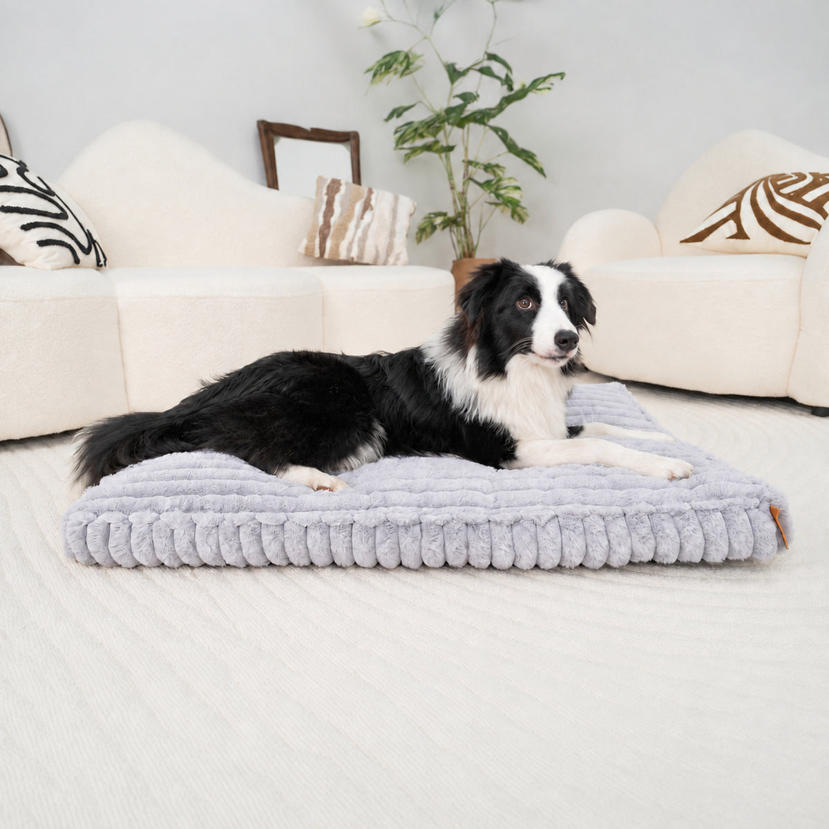 Grey | Furry Corduroy Sleeping Mat: Border collie lying on the Grey mat in a living room