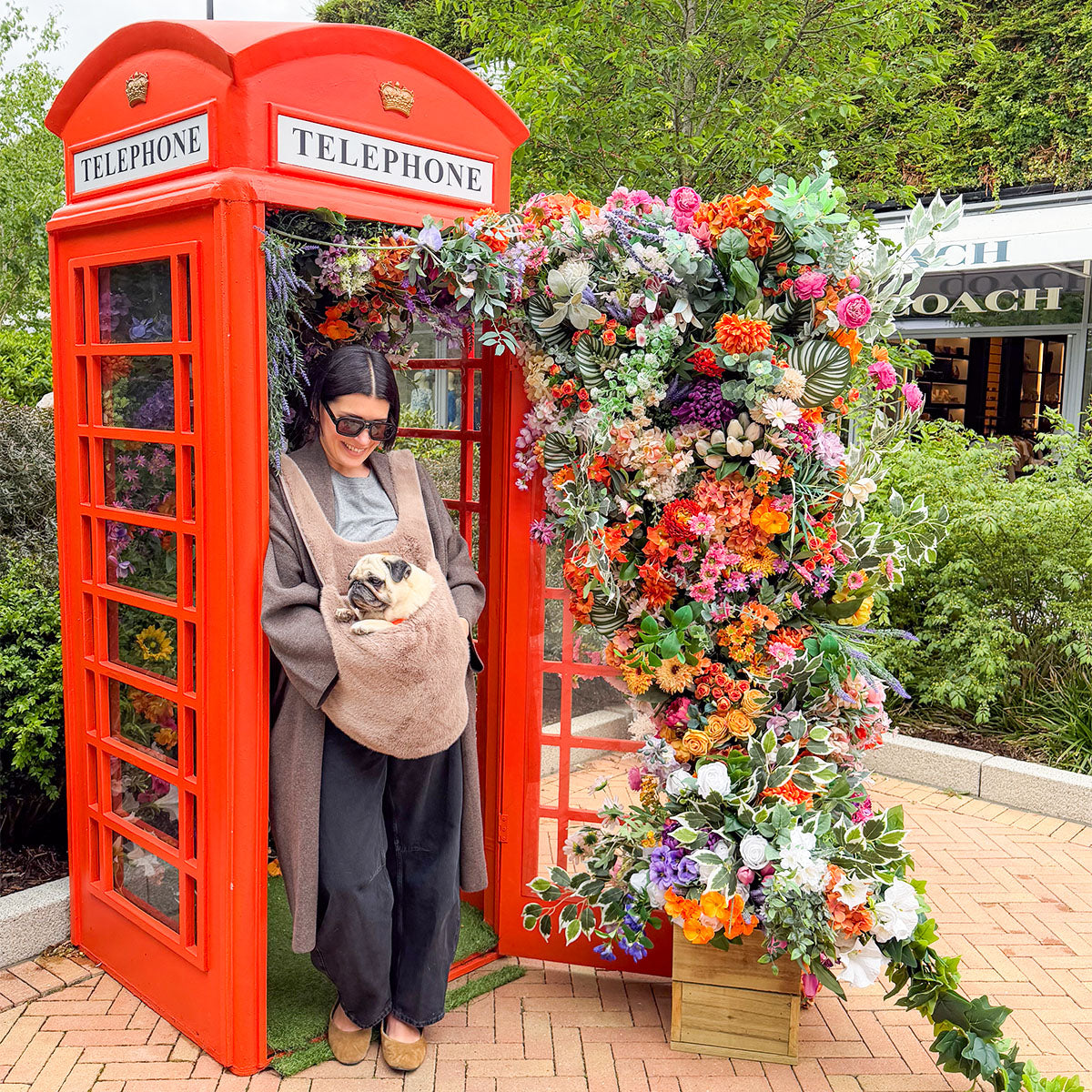 Brown | Furry Range Puppy Pouch: A woman with a pug in the Brown Puppy Pouch beside a red telephone box