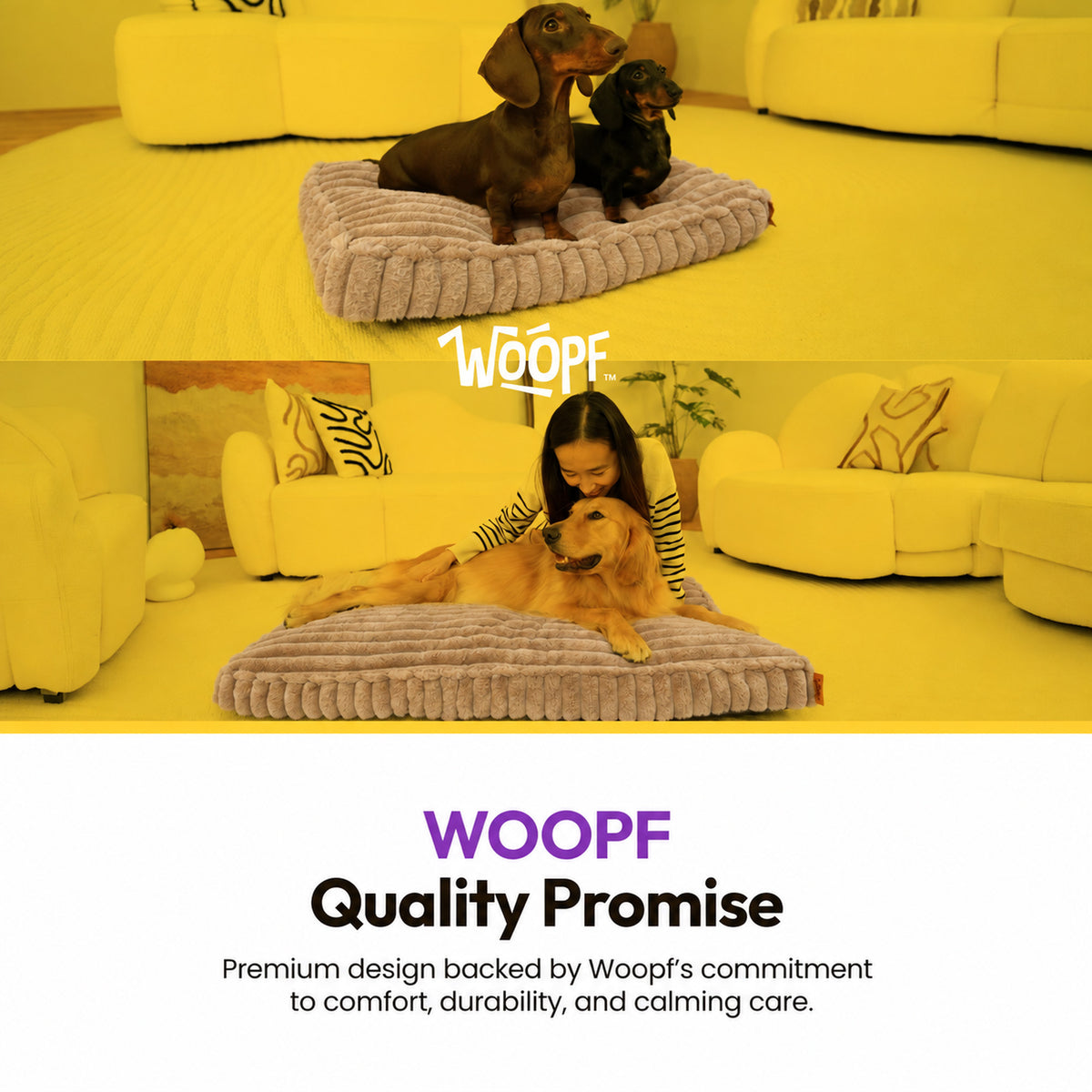 Brown | Furry Corduroy Sleeping Mat: Dachshunds on the Brown mat and a woman with a golden retriever on it, in a yellow room with the WOOPF logo