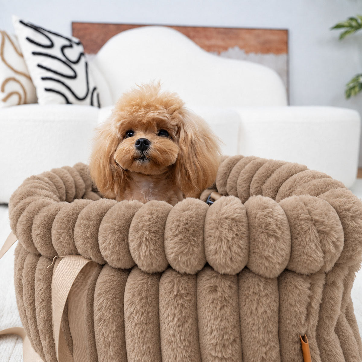 Brown | Corduroy Calming Dog Carrier: Toy poodle looking over the rim of the Brown carrier in a living room
