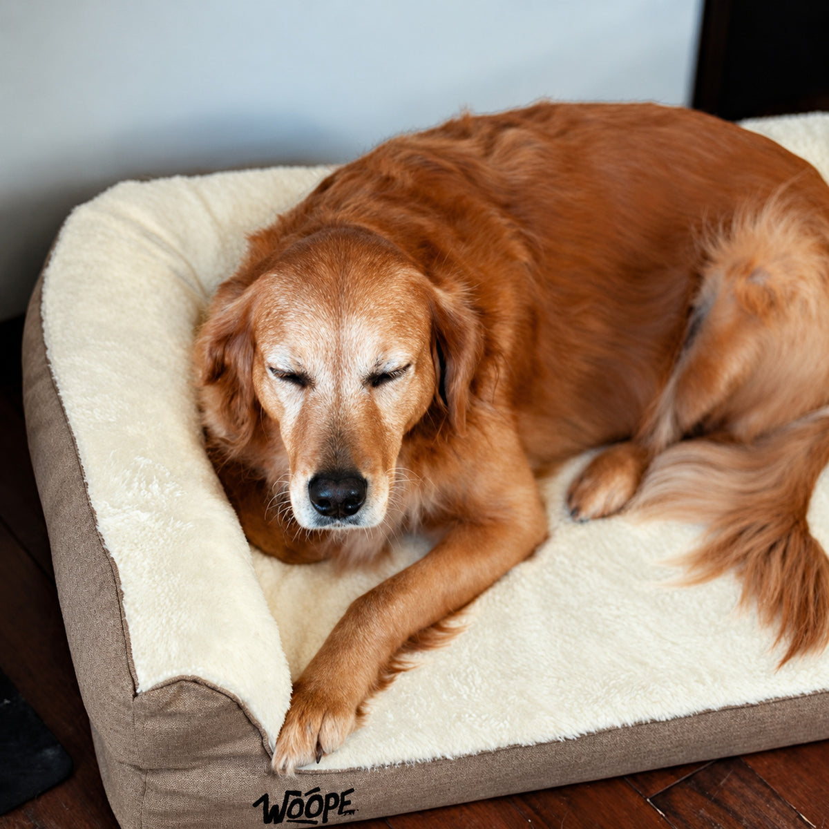 Cream | SNÖR Orthopedic Bed: Golden retriever lying on its side across the Cream bed