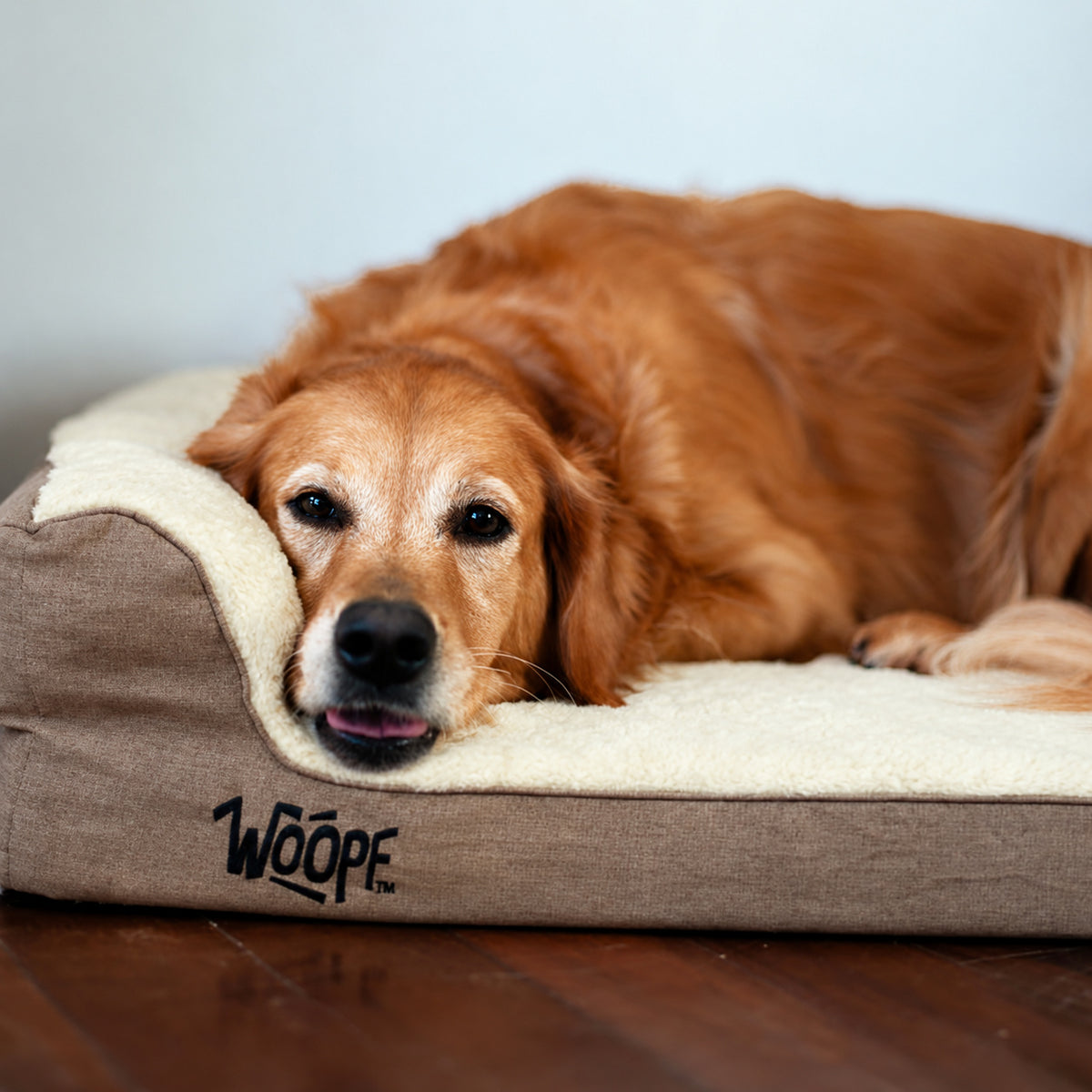 Cream | SNÖR Orthopedic Bed: Golden retriever lounging on the Cream bed on a woven rug
