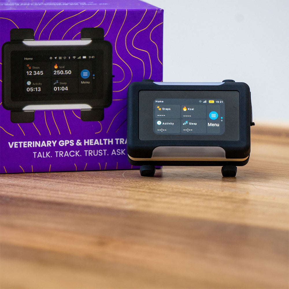 Smart GPS & Health Tracker, Black / Gold