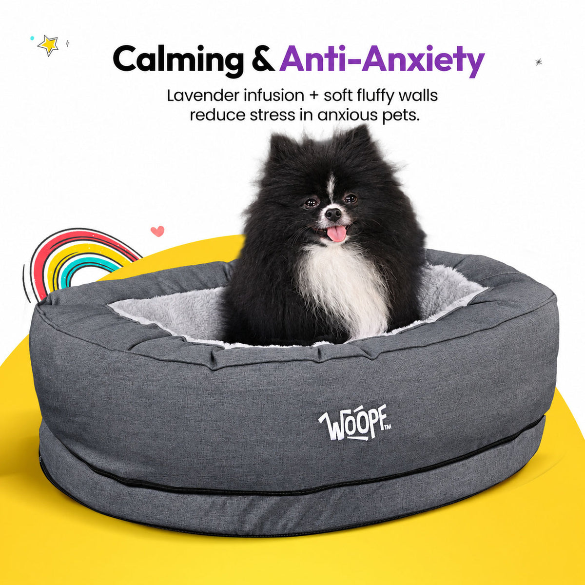 Grey | NÄP Orthopedic Bed: Pomeranian in the Grey bed, headed Calming & Anti-Anxiety