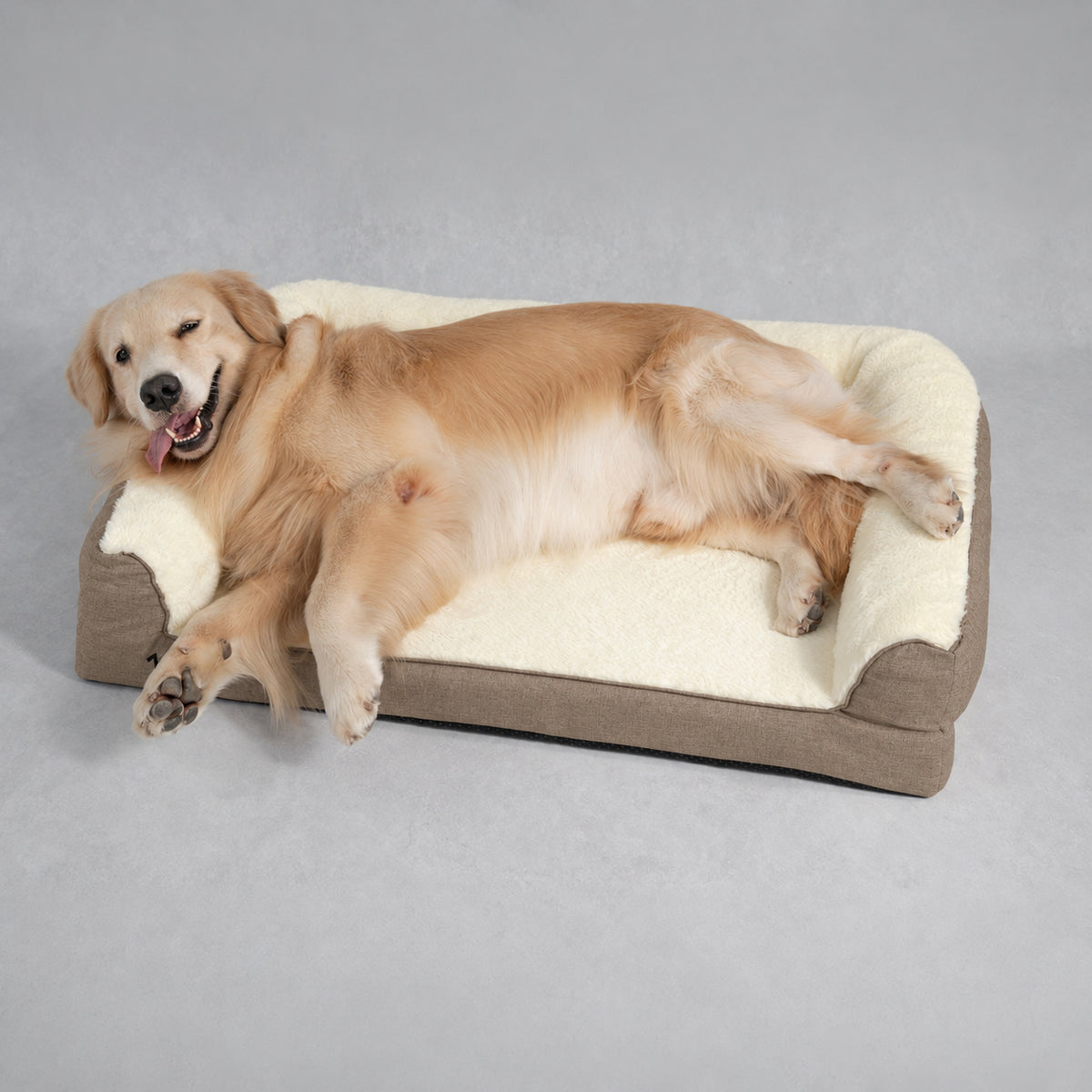 Cream | SNÖR Orthopedic Bed: Golden retriever lying on the Cream bed in a grey studio
