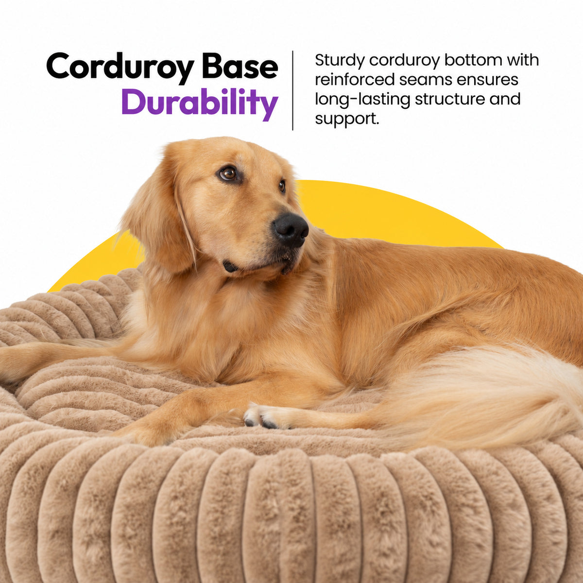 Brown | Furry Corduroy Round Bed: Close-up of a golden retriever lying in the Brown bed on a yellow graphic card