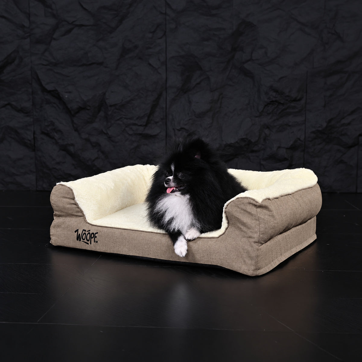 Cream | SNÖR Orthopedic Bed: Pomeranian sitting in the Cream bed on a black background