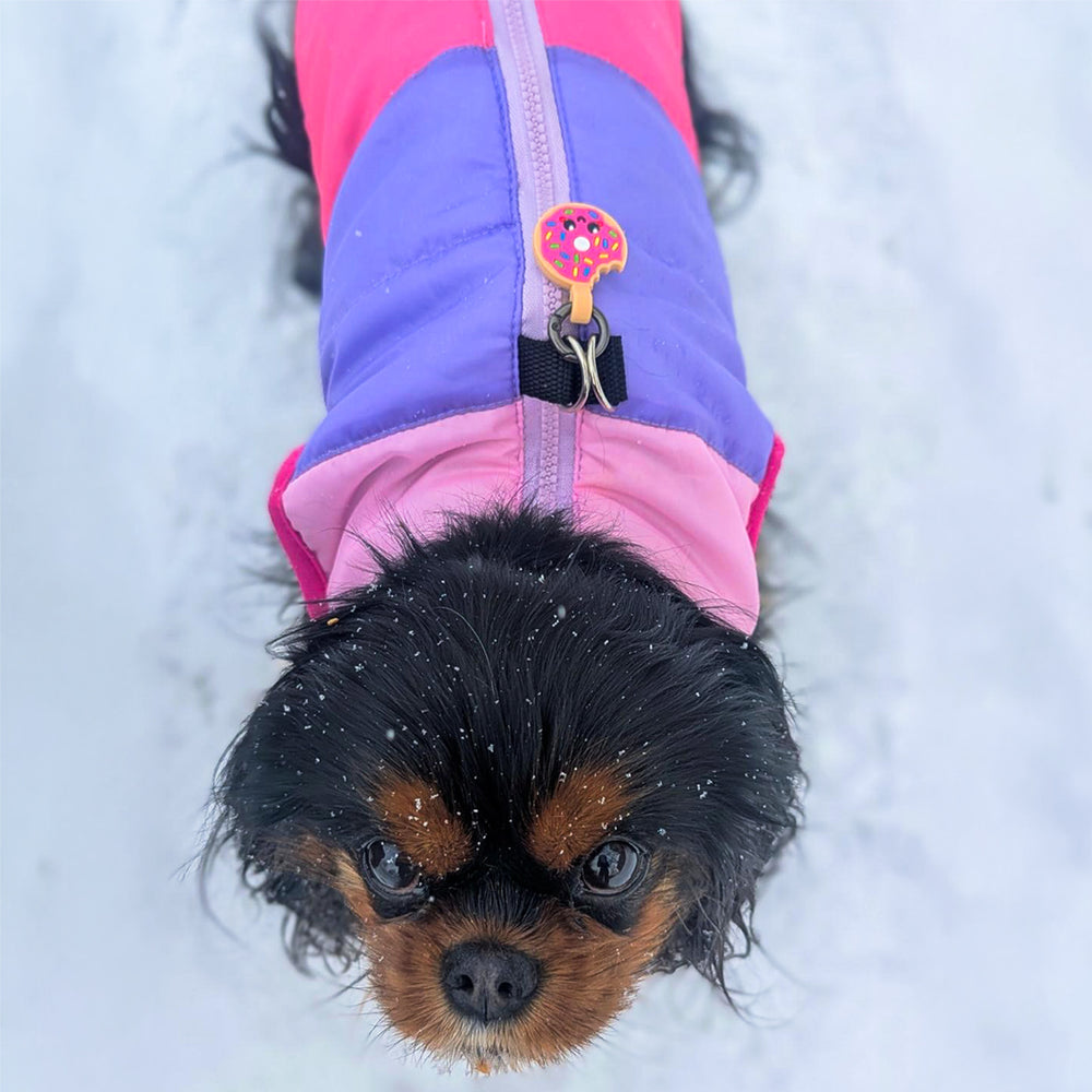 Smart ID Tag, Donut