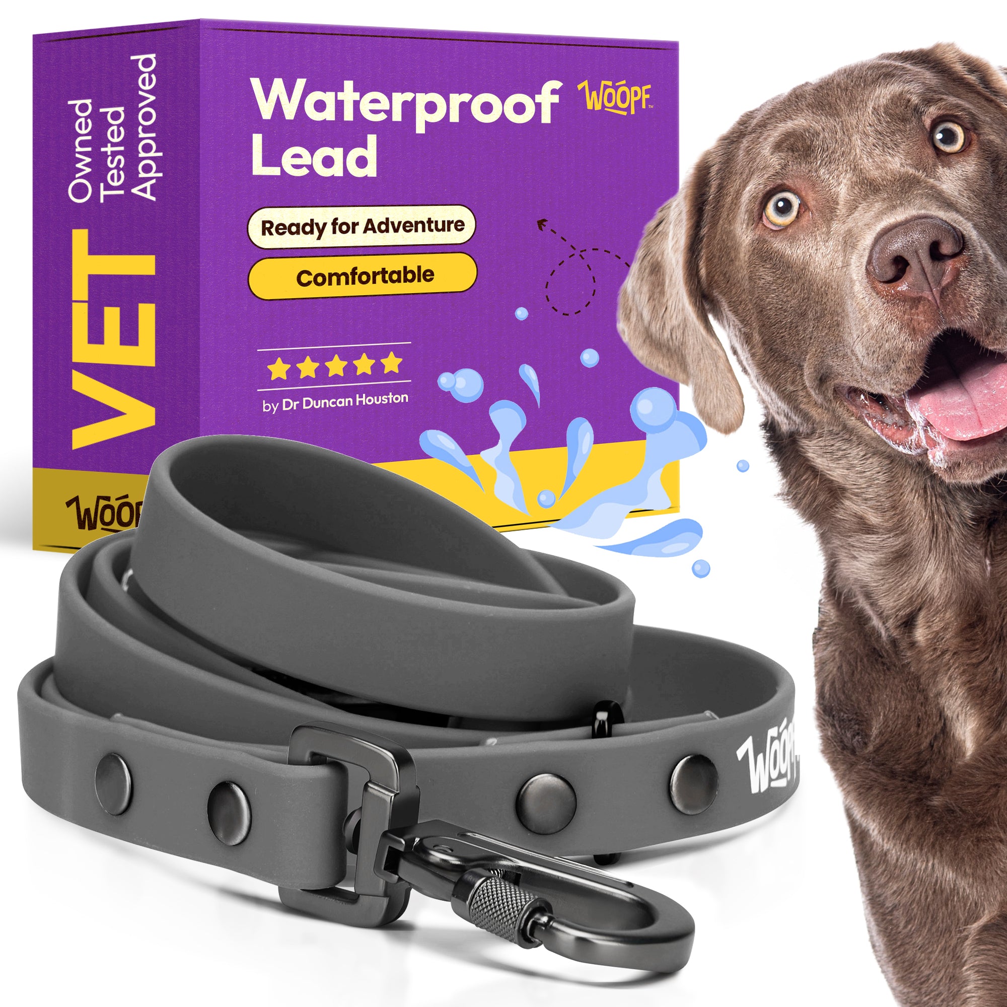All-Weather Leash (Grey)