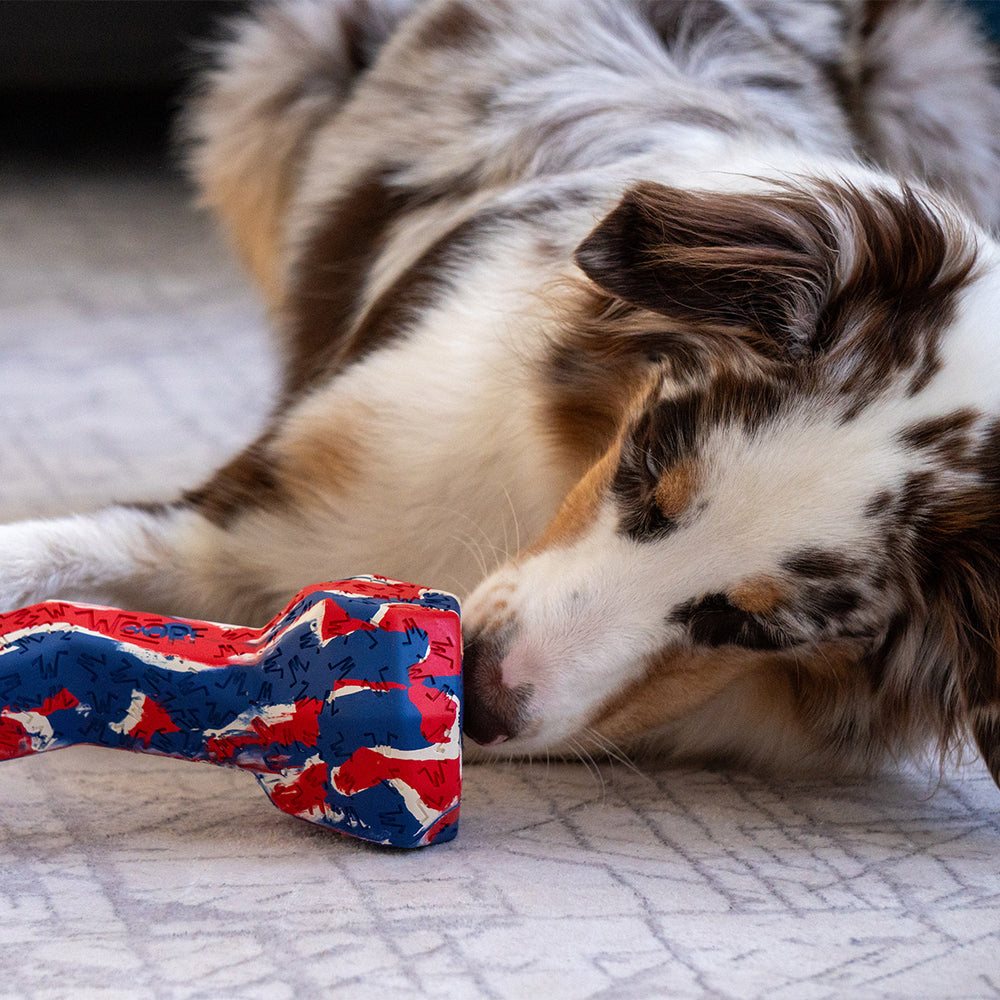 Chewster Blocky Knochen, USA