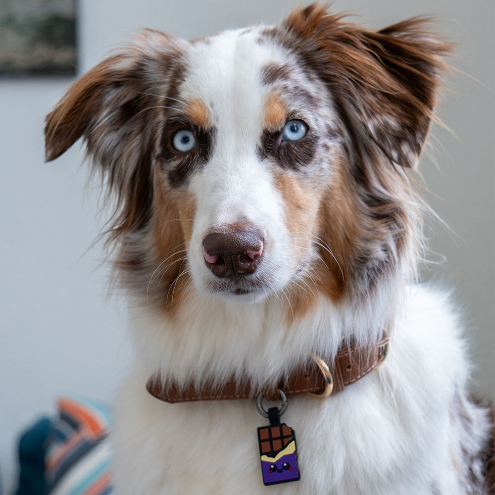 Smart ID Tag, Chocolate Purple