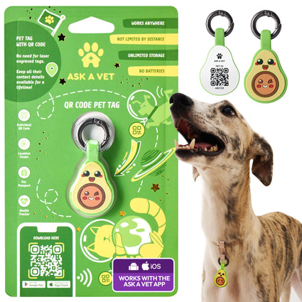 Smart ID Tag