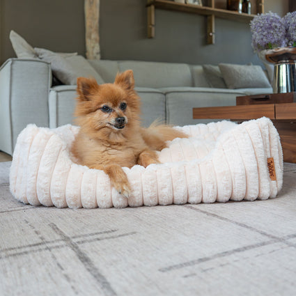 Furry Corduroy Open Front Rectangle Bed