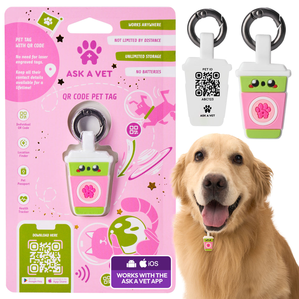 Track & Scan Bundle, Sakura Matcha