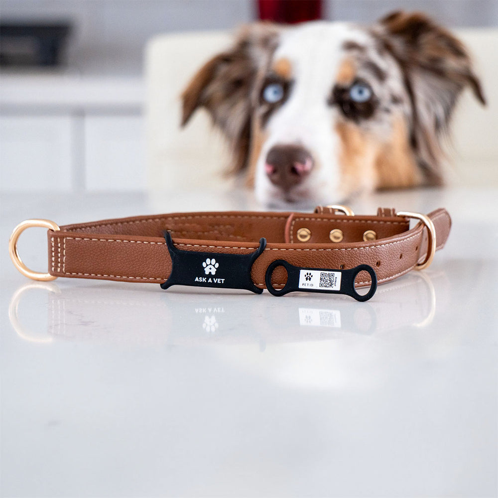 Smart ID Tag, Slide-On