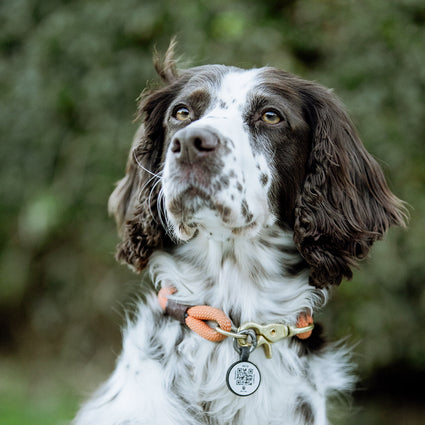 Smart ID Tag