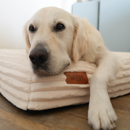 SNÜZ Orthopedic Corduroy Bed
