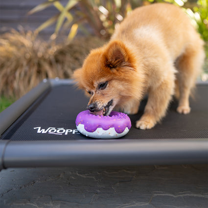 Chewster Donut