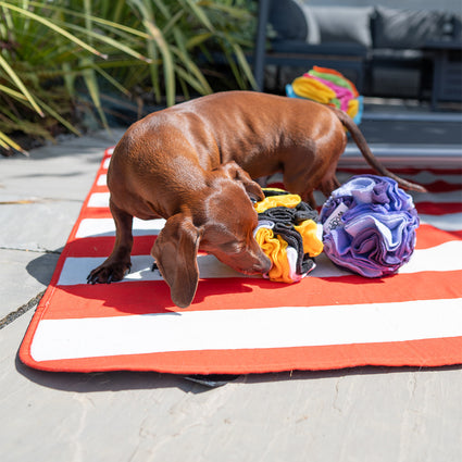Snuffle Ball