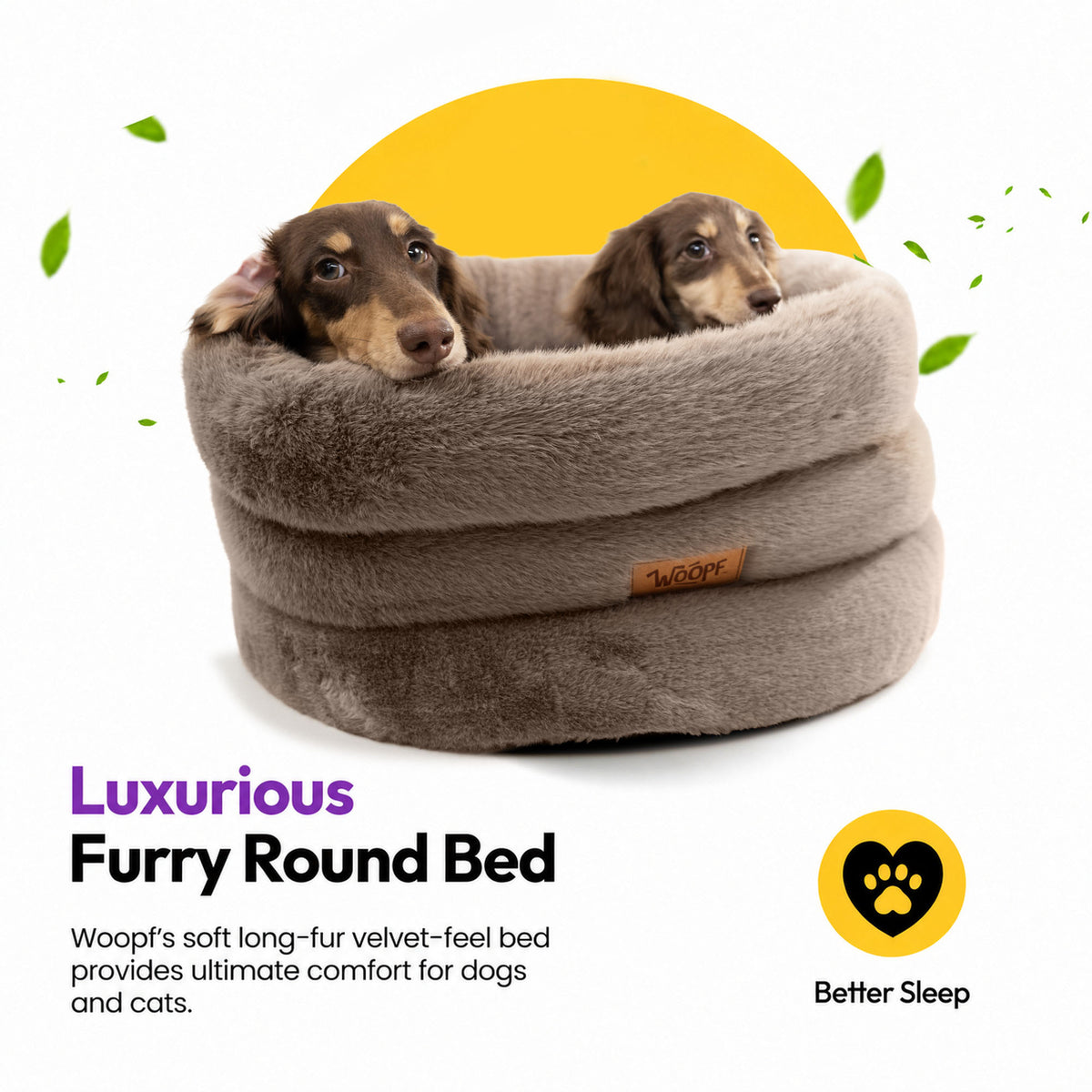Brown | Furry Range Round Bed: Two dachshunds peeking over the rim of the Brown bed, headed Luxurious Furry Round Bed