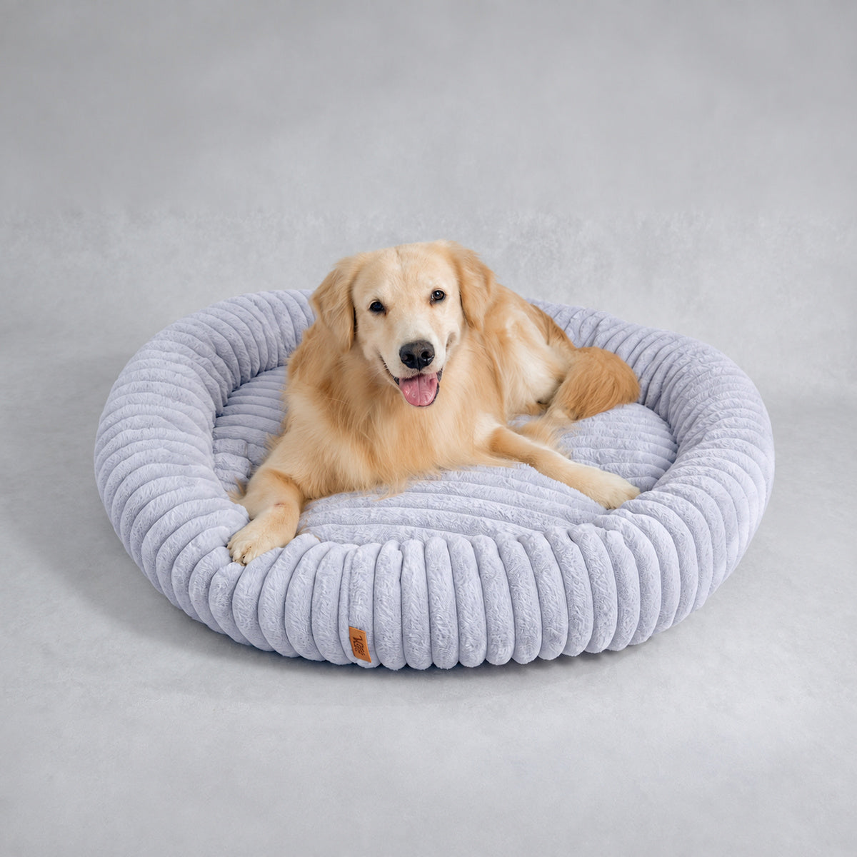 Grey | Furry Corduroy Round Bed: Golden retriever lying in the Grey bed in a grey studio