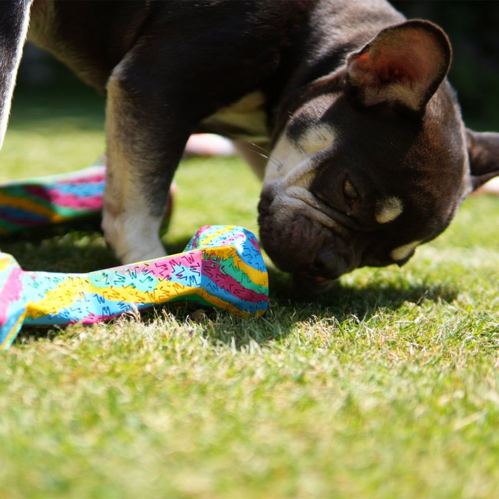 Chewster Blocky Bone, Rainbow