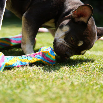 Chewster Blocky Bone