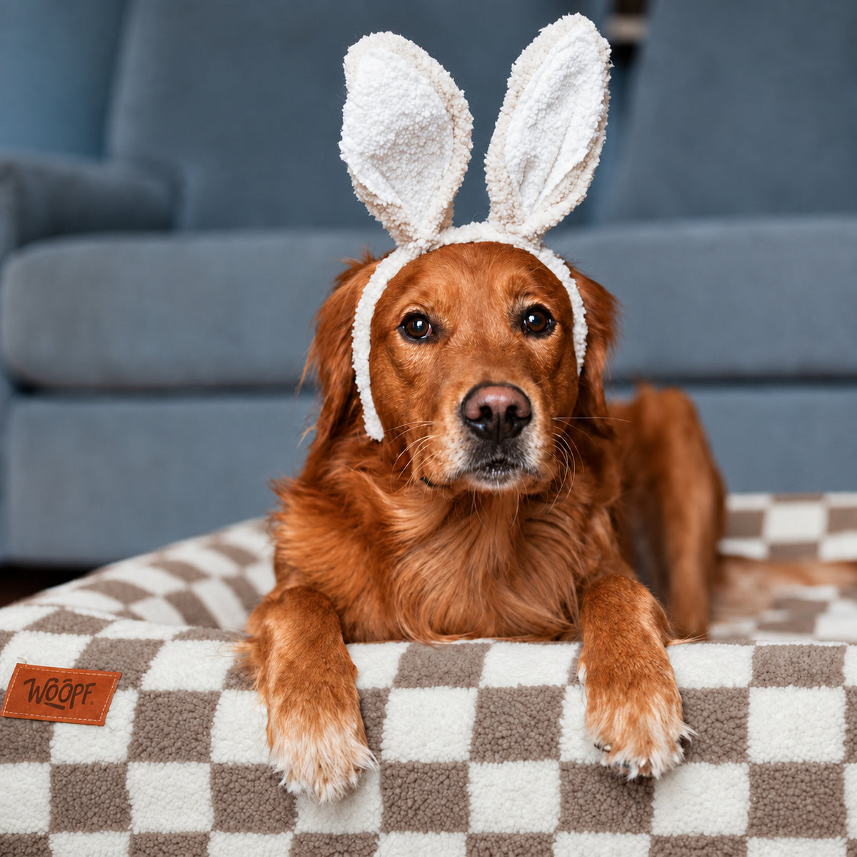 Brown | SNÜZ Bed Slip-On Cover Fleece: Golden retriever on the Brown cover, headed Perfect Fit For Woopf Orthopedic Range
