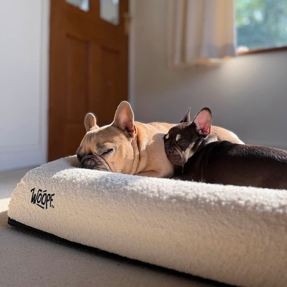 SNÜZ Vet Orthopedic Bed, Cream
