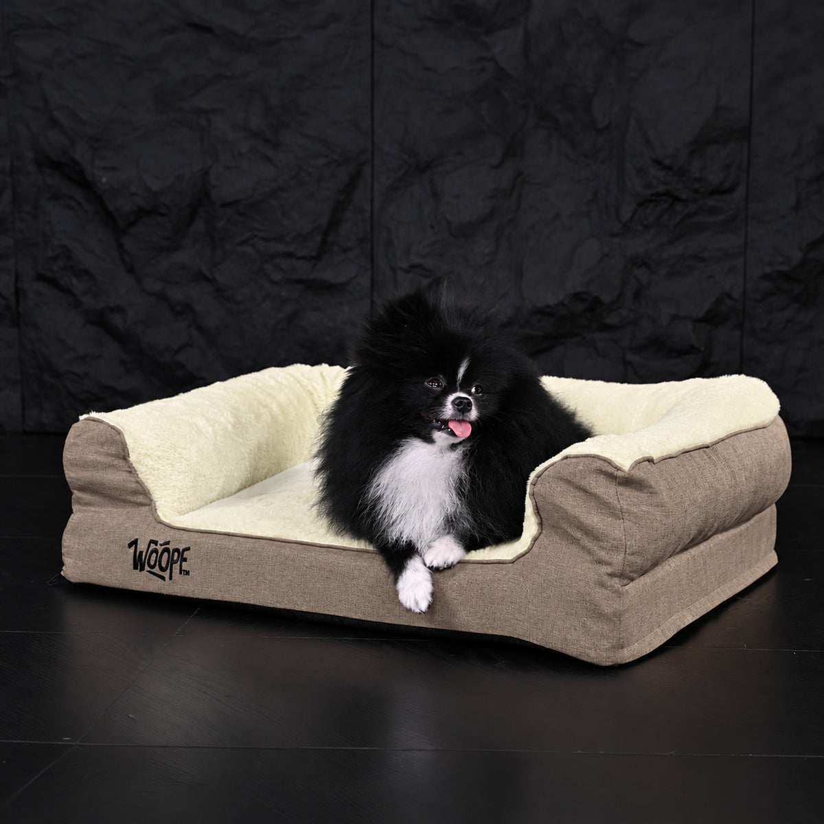 Cream | SNÖR Orthopedic Bed: Pomeranian sitting in the Cream bed on a black background, seen from further back