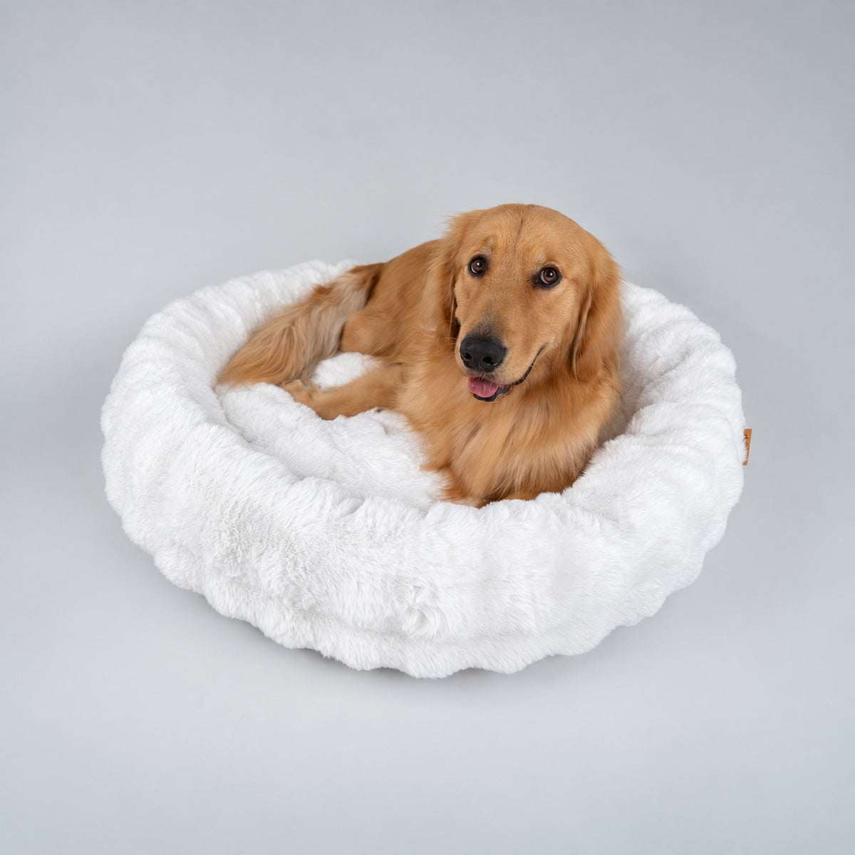 White | Furry Curves Round Bed: A golden retriever curled up in the White round bed