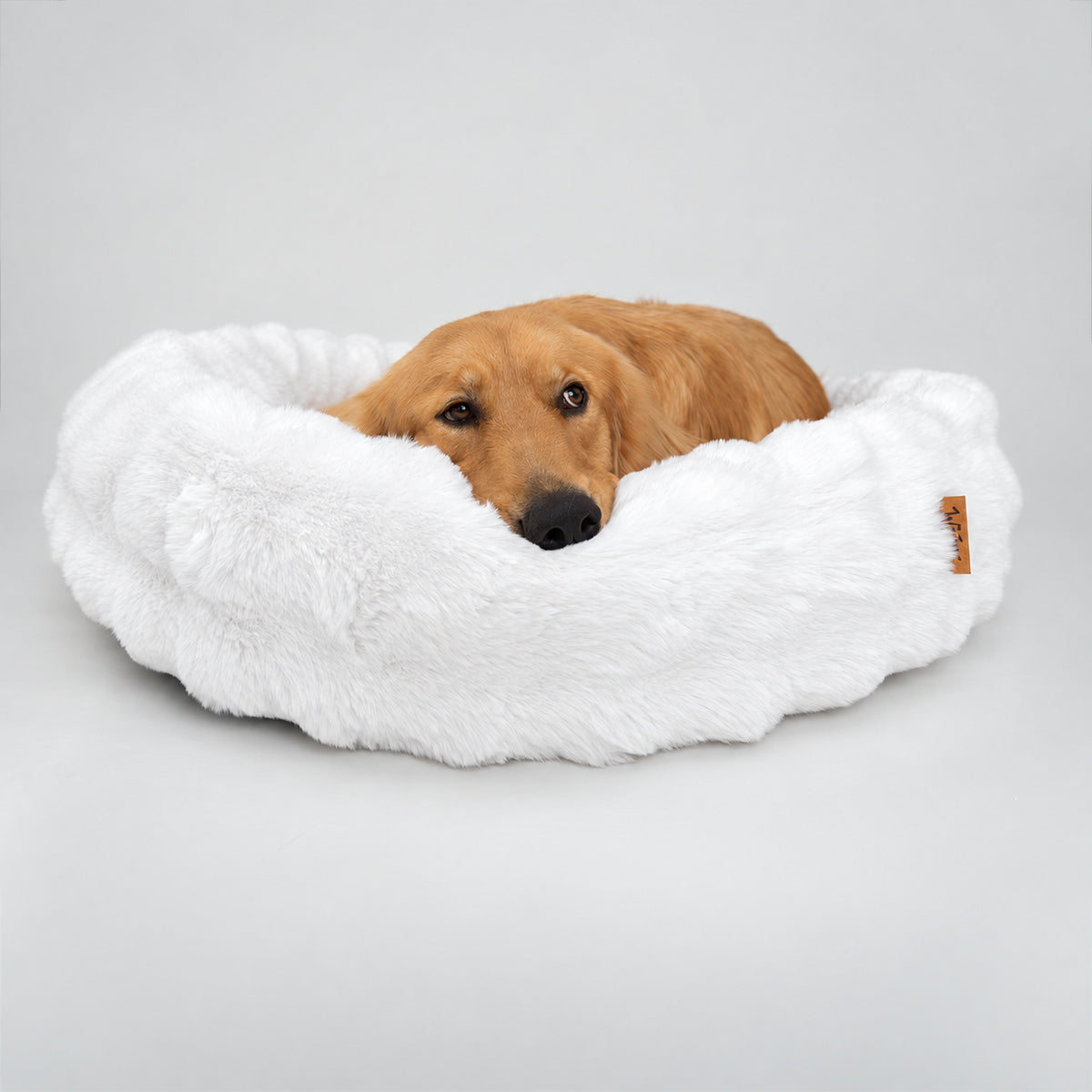 White | Furry Curves Round Bed: A golden retriever resting its head in the White round bed