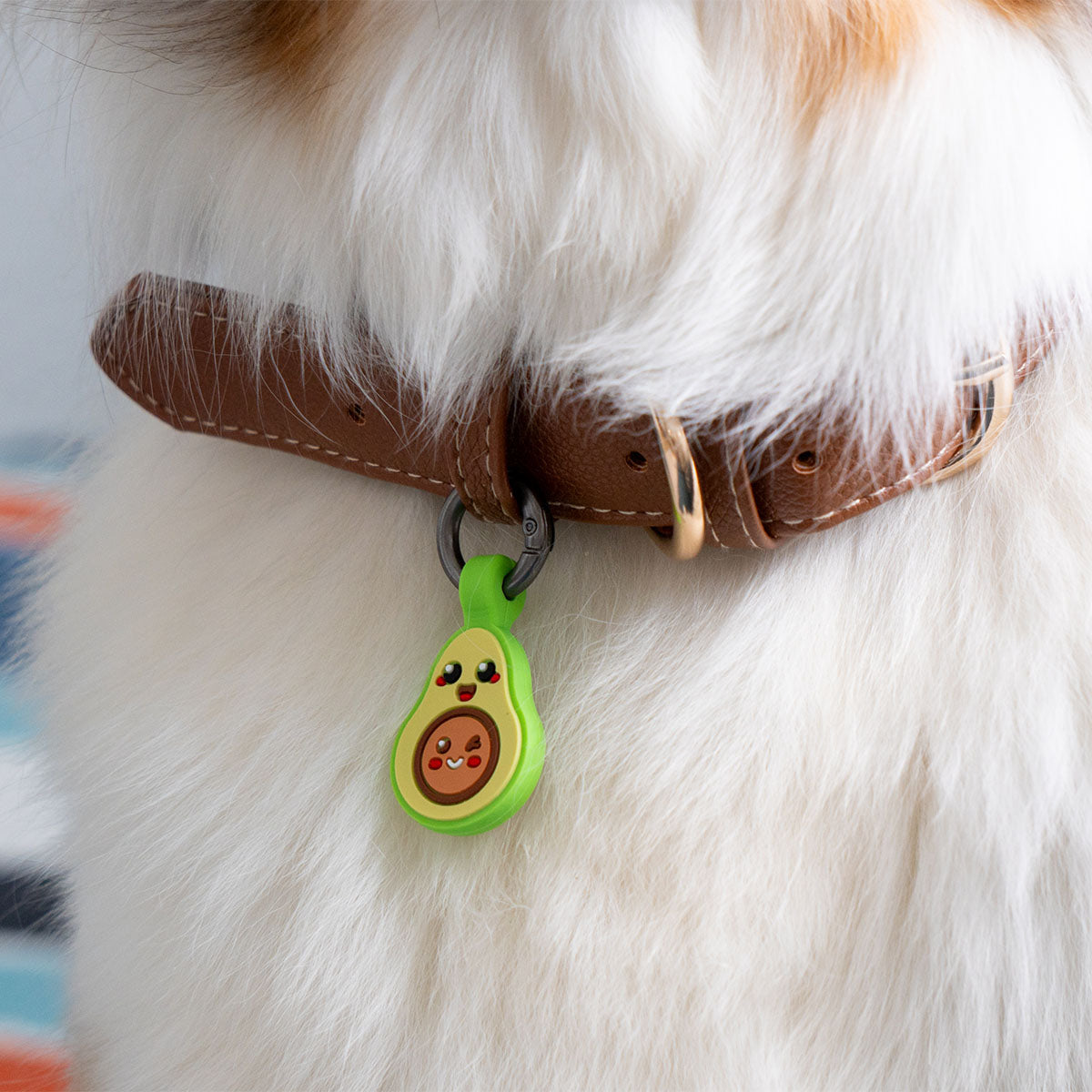 Avocado | Smart ID Tag: Close-up of the Avocado tag on an Australian Shepherd's collar