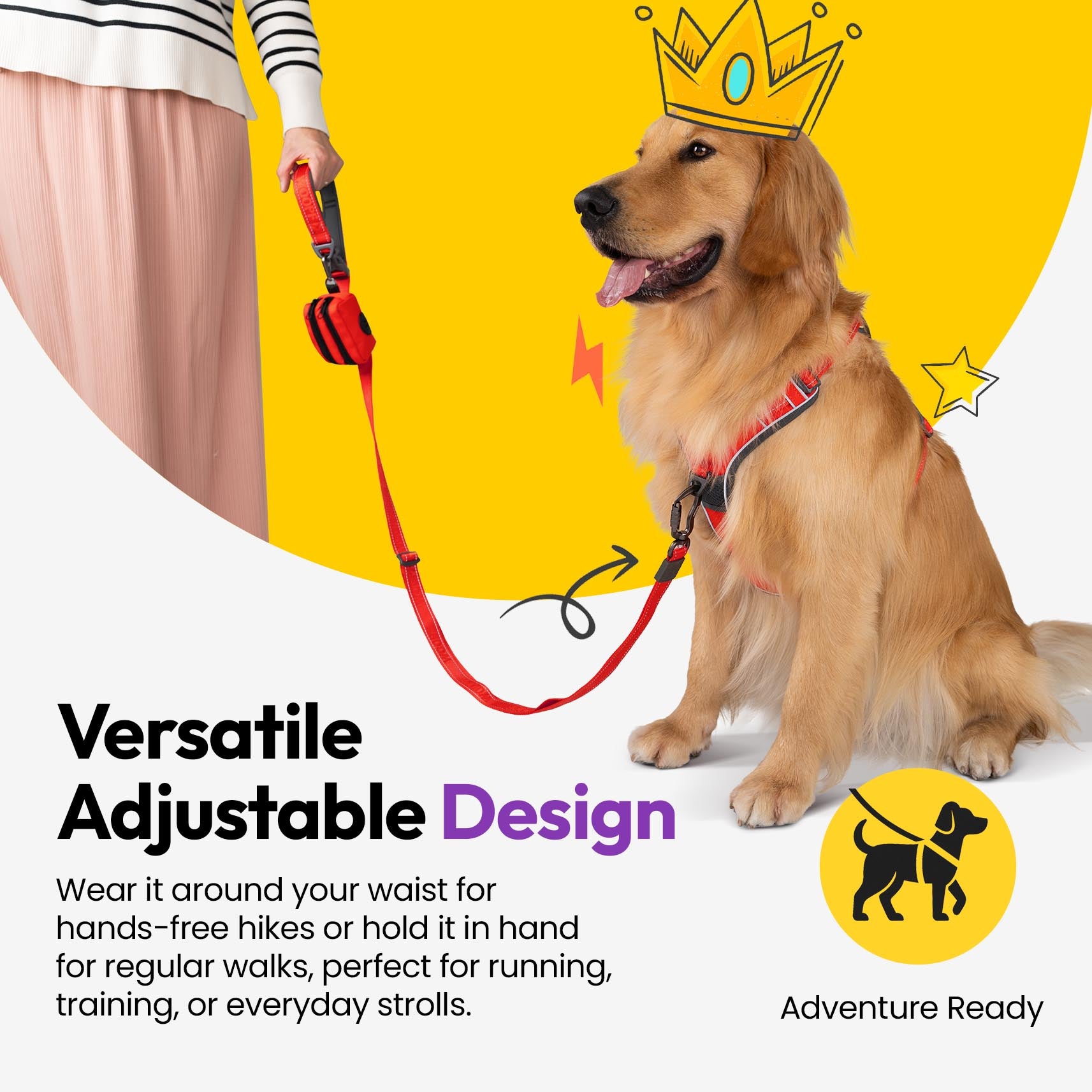 Laisse extensible Explorateur