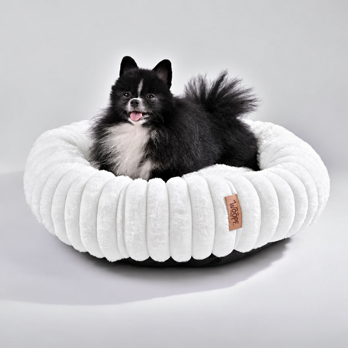 White | Furry Corduroy Round Bed: Black and white Pomeranian sitting in the White bed in a grey studio