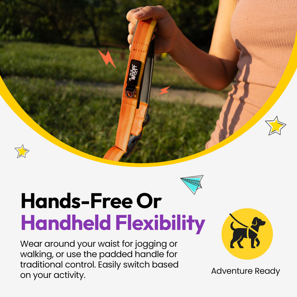 Explorer Bungee Leash, Orange