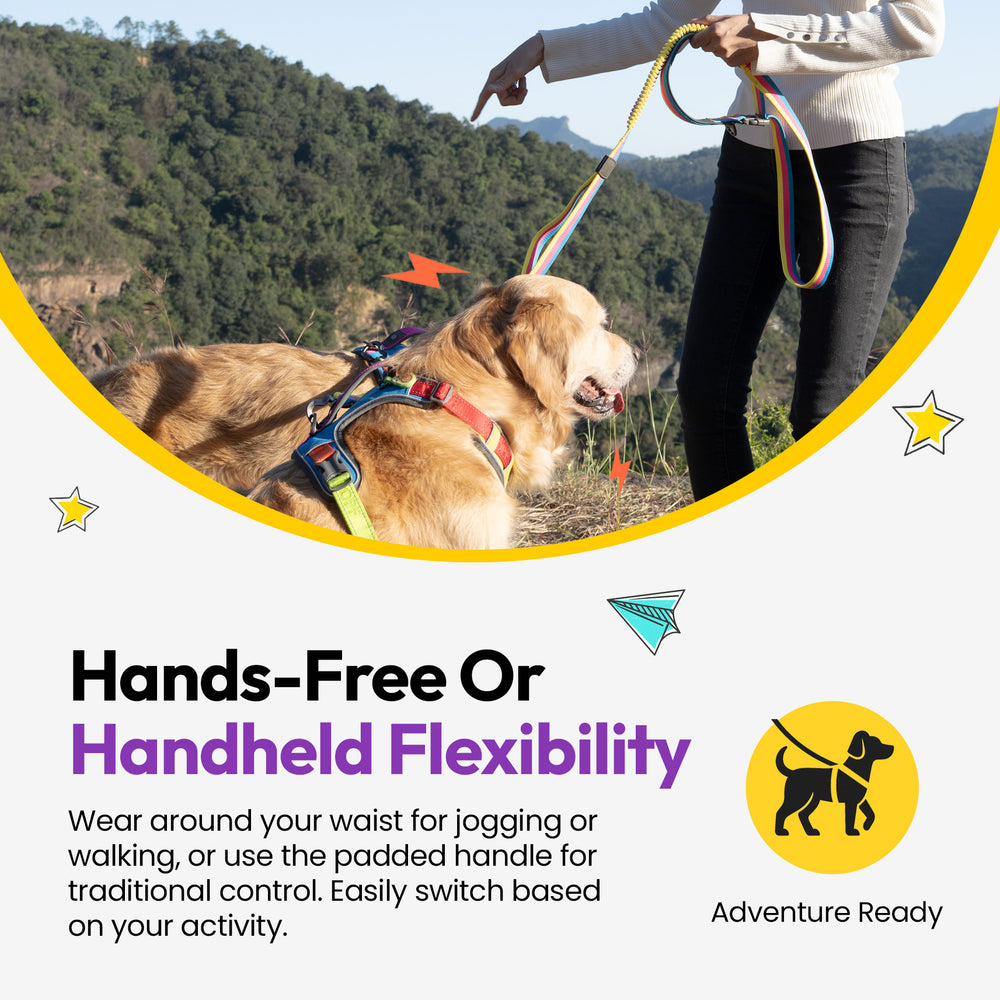 Explorer Bungee Leash, Rainbow