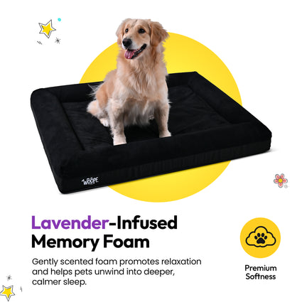 SNÜZ Orthopedic Suede Bed
