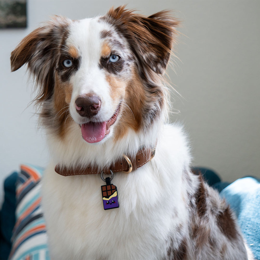 Smart ID Tag, Chocolate Purple