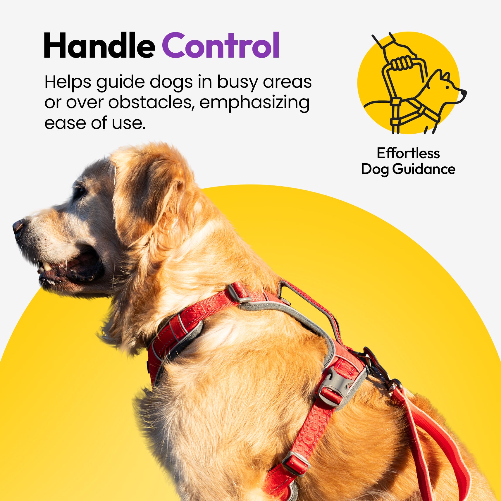 Entdecker Geschirr ohne Ziehen