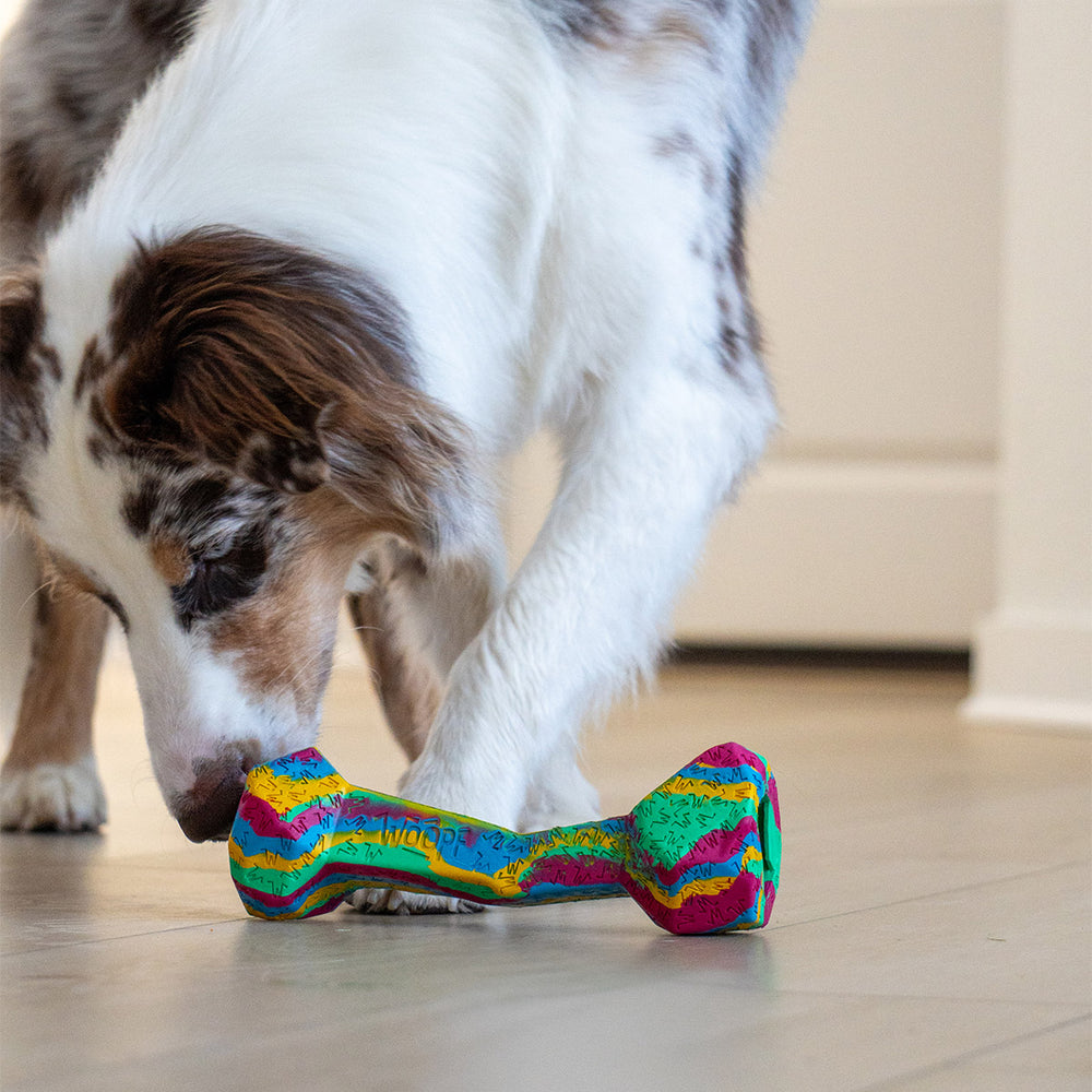 Chewster Blocky Knochen, Rainbow
