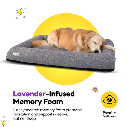 SNÜZ Vet Orthopedic Bed