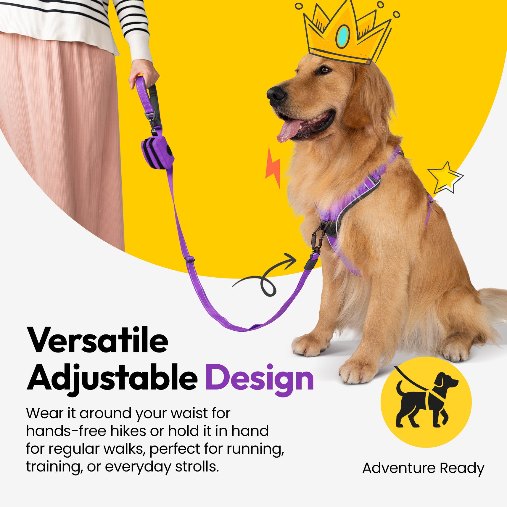 Laisse extensible Explorateur