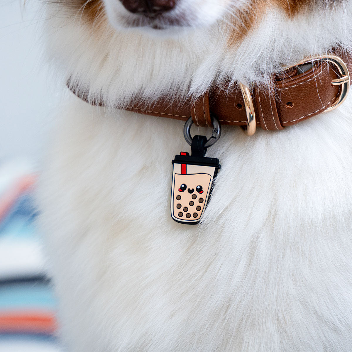Boba | Smart ID Tag: Close-up of the Boba tag on an Australian Shepherd's collar